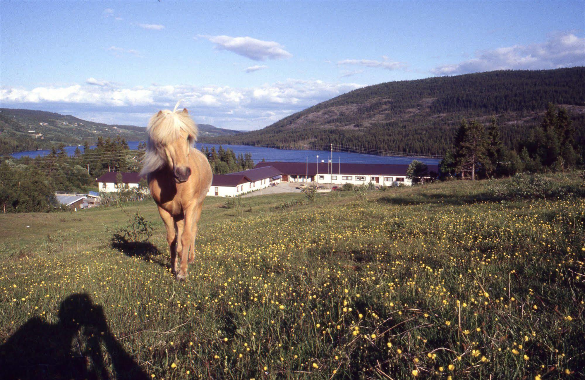 Valdres Hoyfjellshotell Steinsetbygdi Luaran gambar